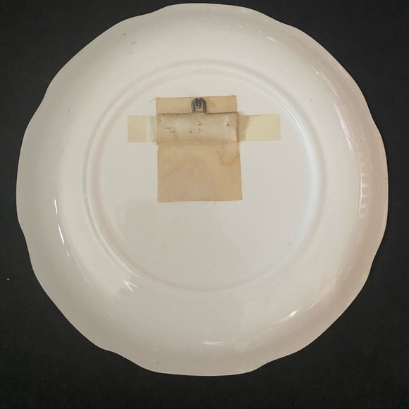 Vintage South Carolina Souvenir State Plate SC Landmarks Decorative Collector - Picture 4 of 6